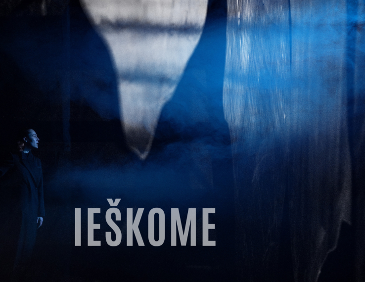 Juozo Miltinio dramos teatras ieško Rinkodaros ir komunikacijos skyriaus vadovo (-ės)